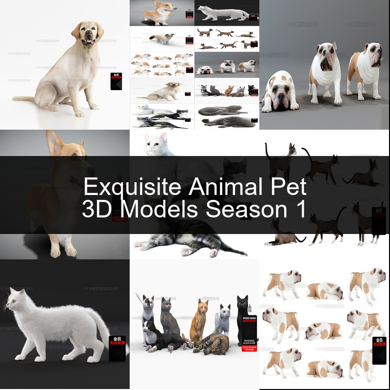 Exquisite Pet 3D Model Series Season 1_0005