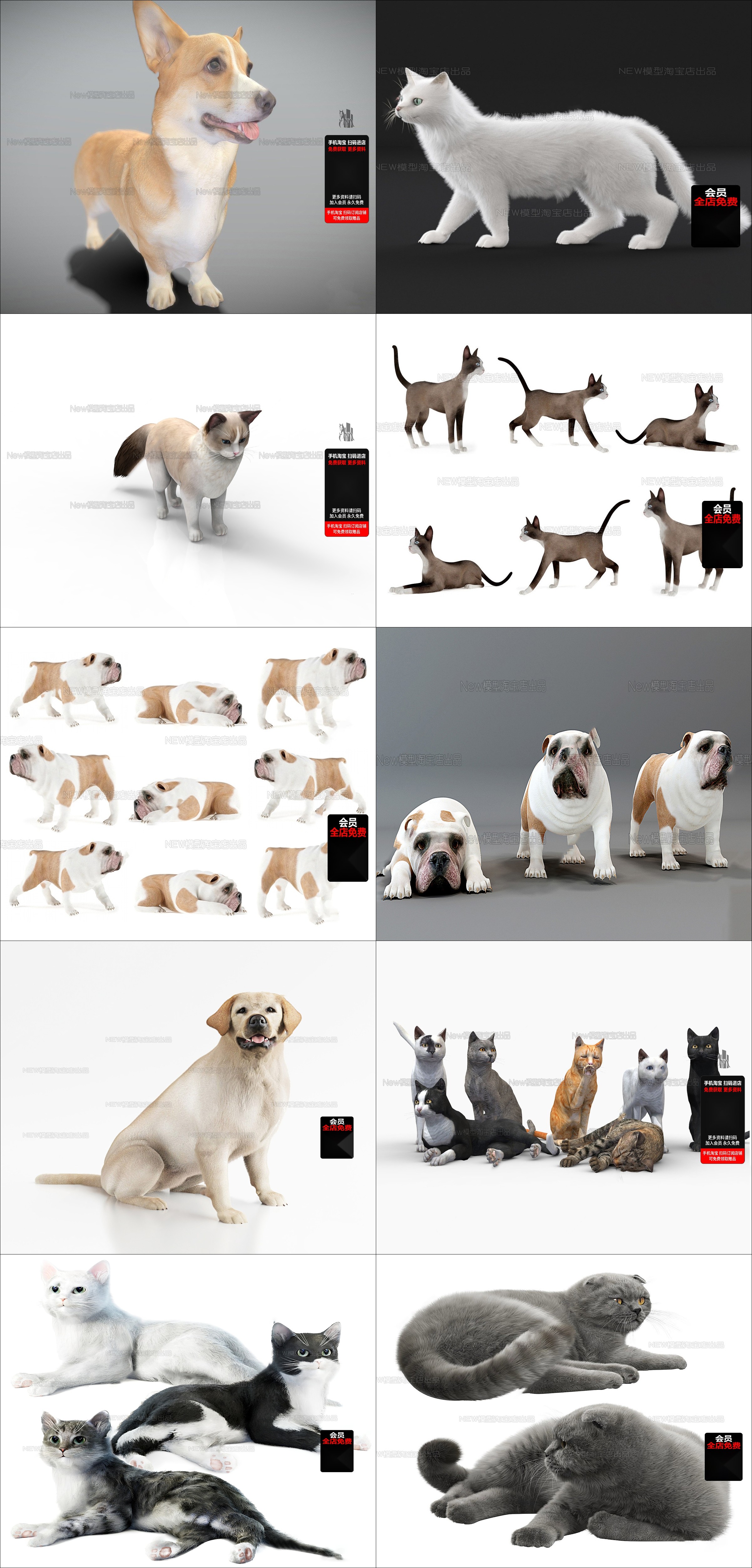 Exquisite Pet 3D Model Series Season 1